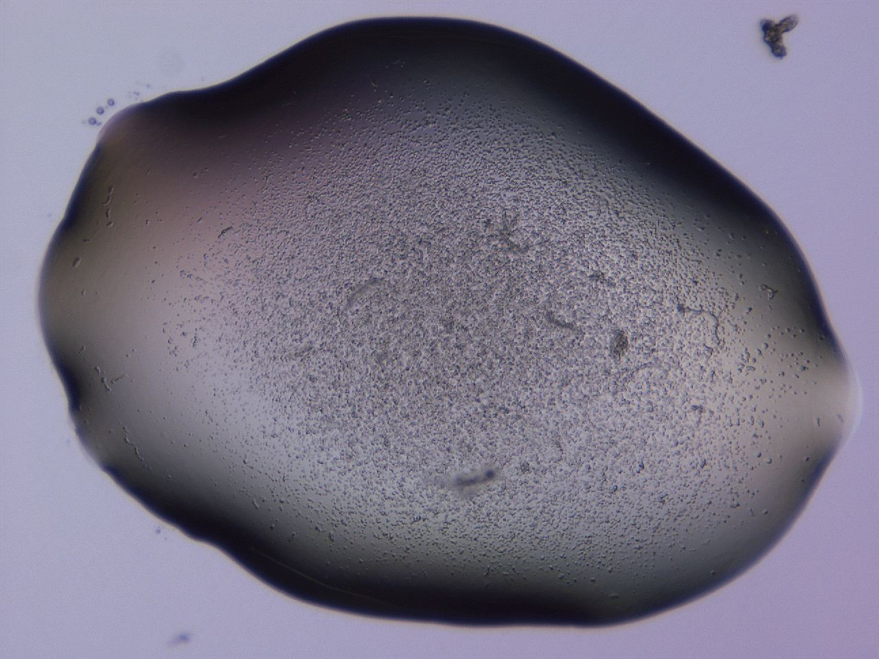 04gh_D2_ImagerDefaults_3.jpg