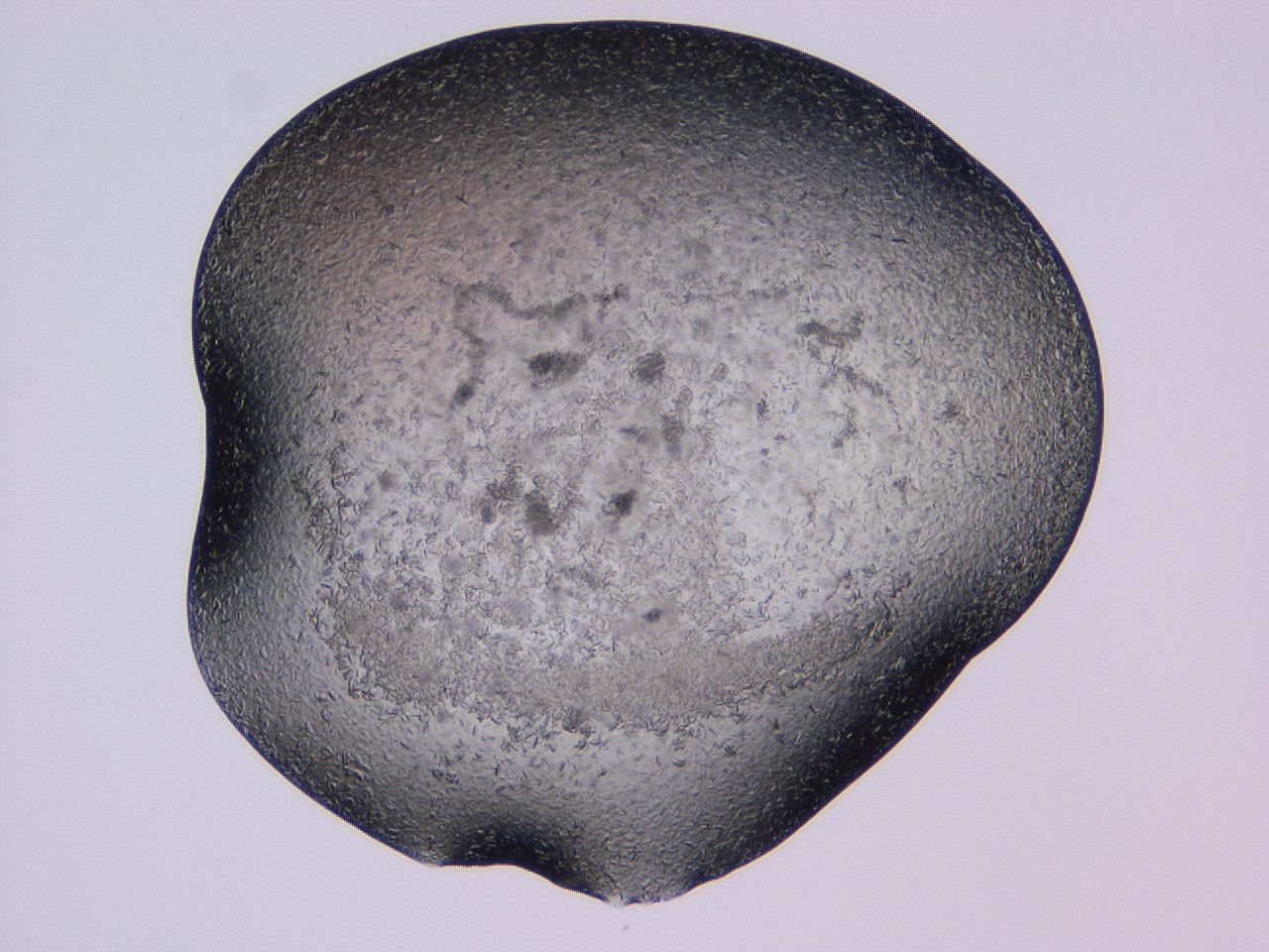 04gh_D3_ImagerDefaults_9.jpg
