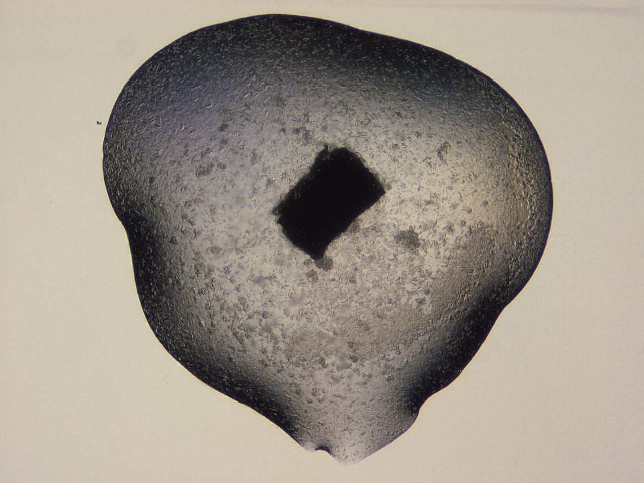04gh_D4_ImagerDefaults_9.jpg