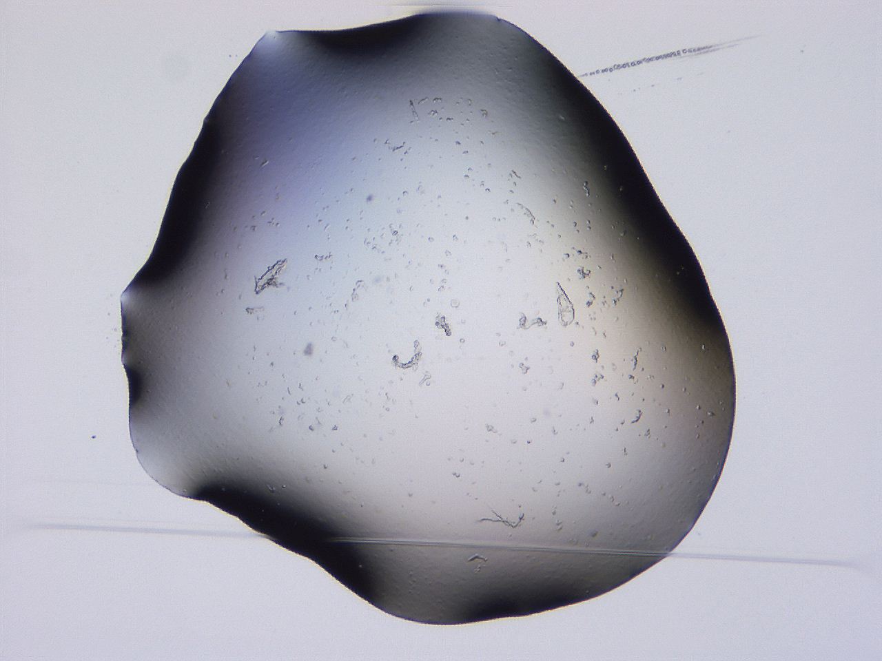 04gh_D9_ImagerDefaults_3.jpg
