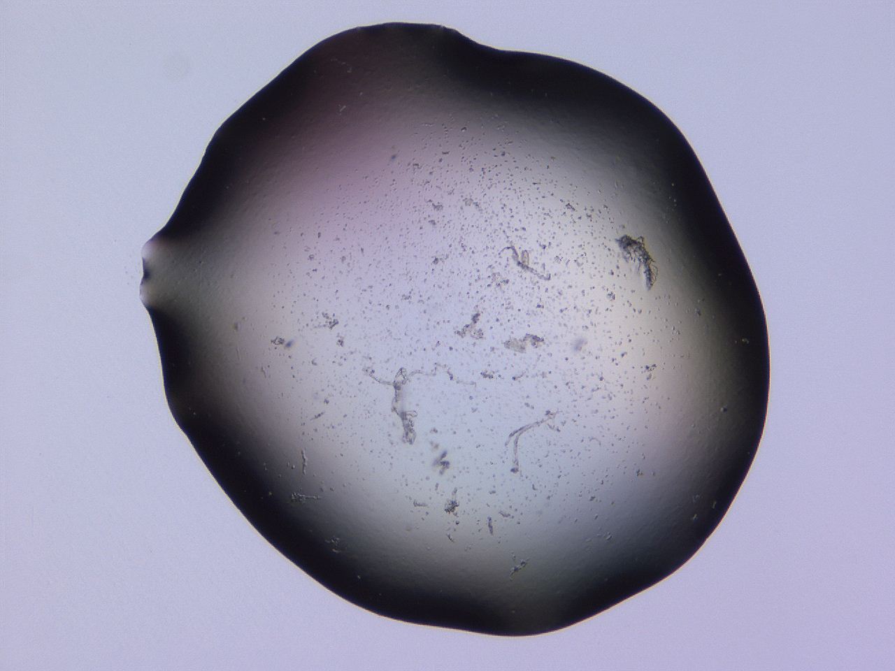 04gh_D10_ImagerDefaults_3.jpg
