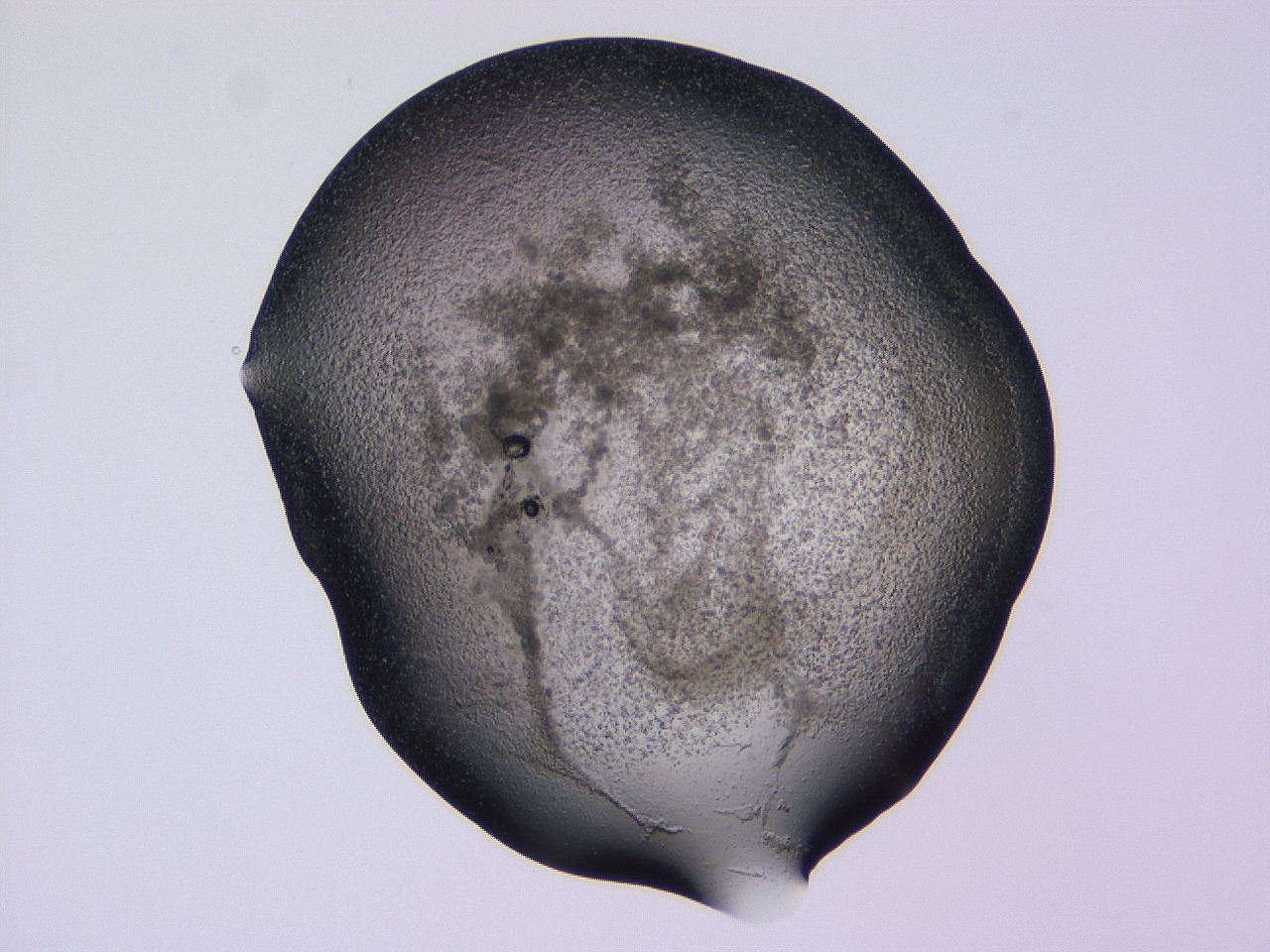 04gh_D11_ImagerDefaults_3.jpg