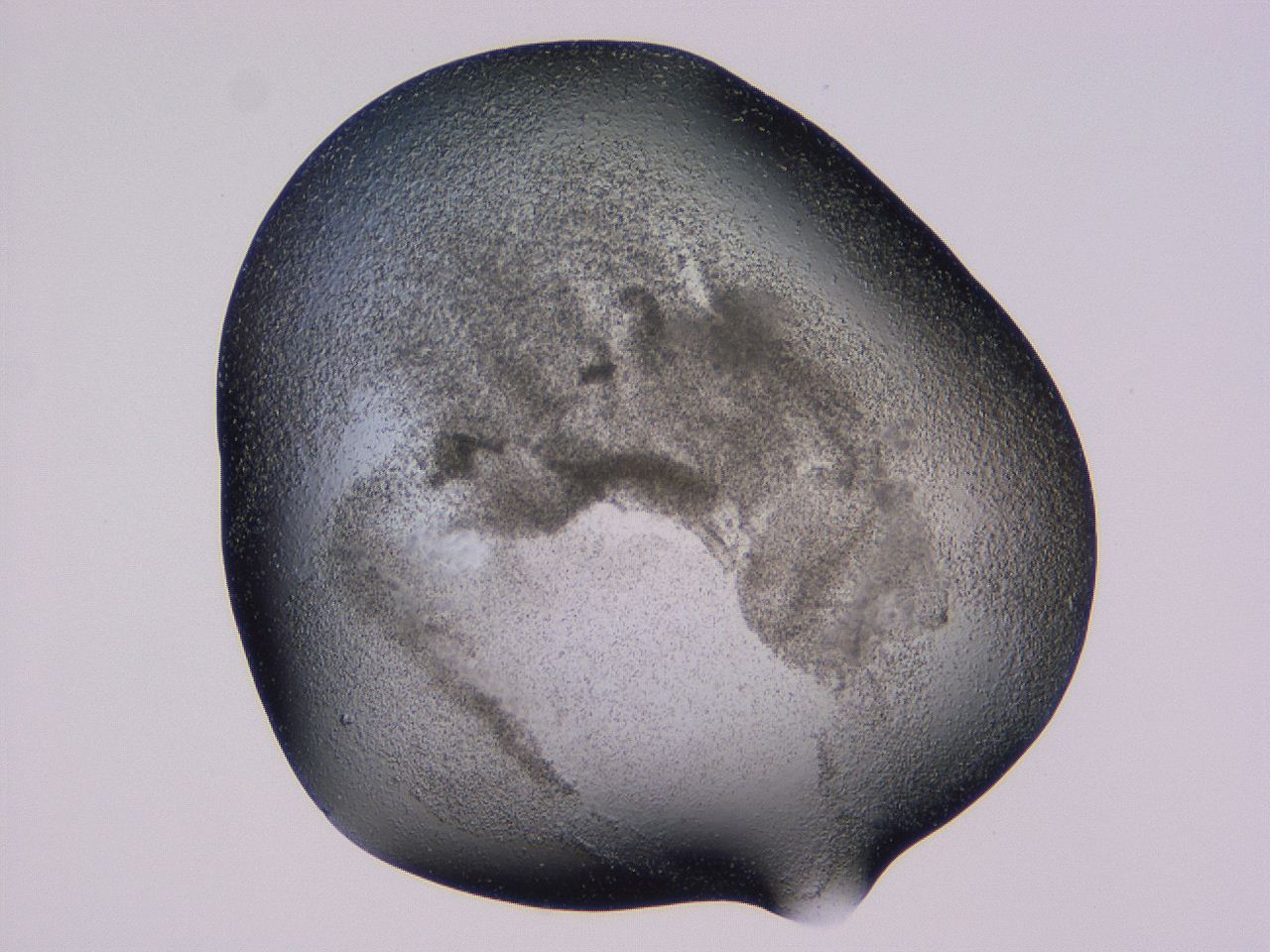 04gh_D12_ImagerDefaults_3.jpg