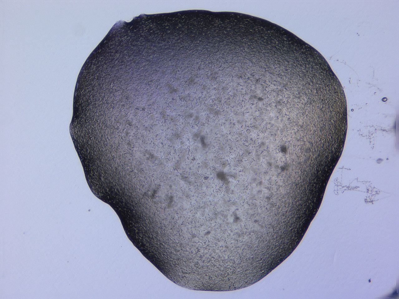 04gh_E10_ImagerDefaults_9.jpg
