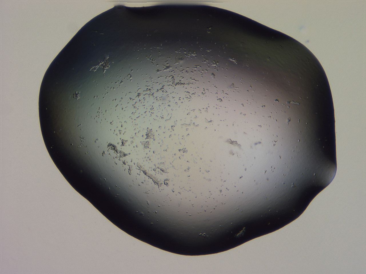 04gh_G2_ImagerDefaults_0.jpg