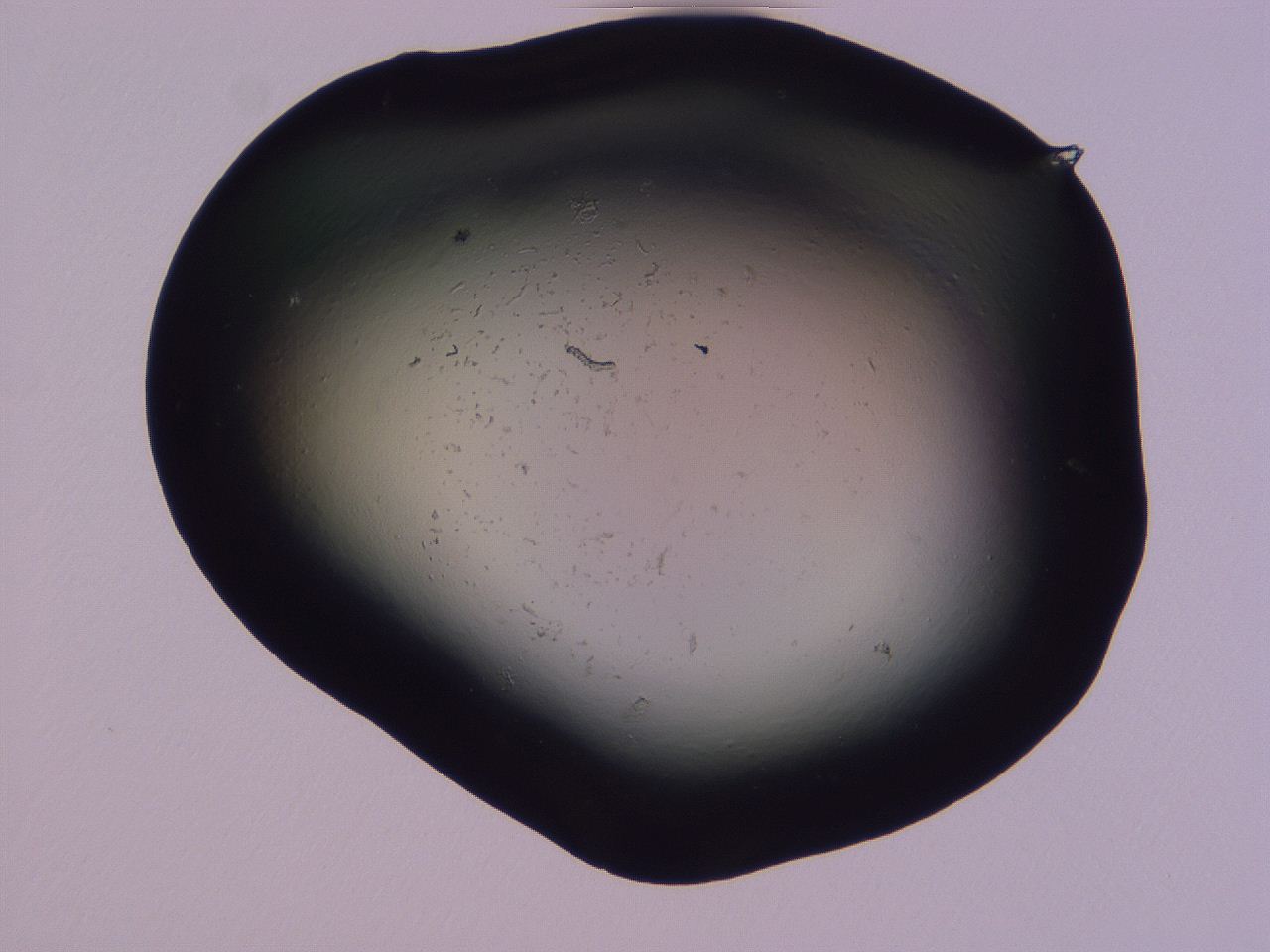 04gh_G3_ImagerDefaults_3.jpg