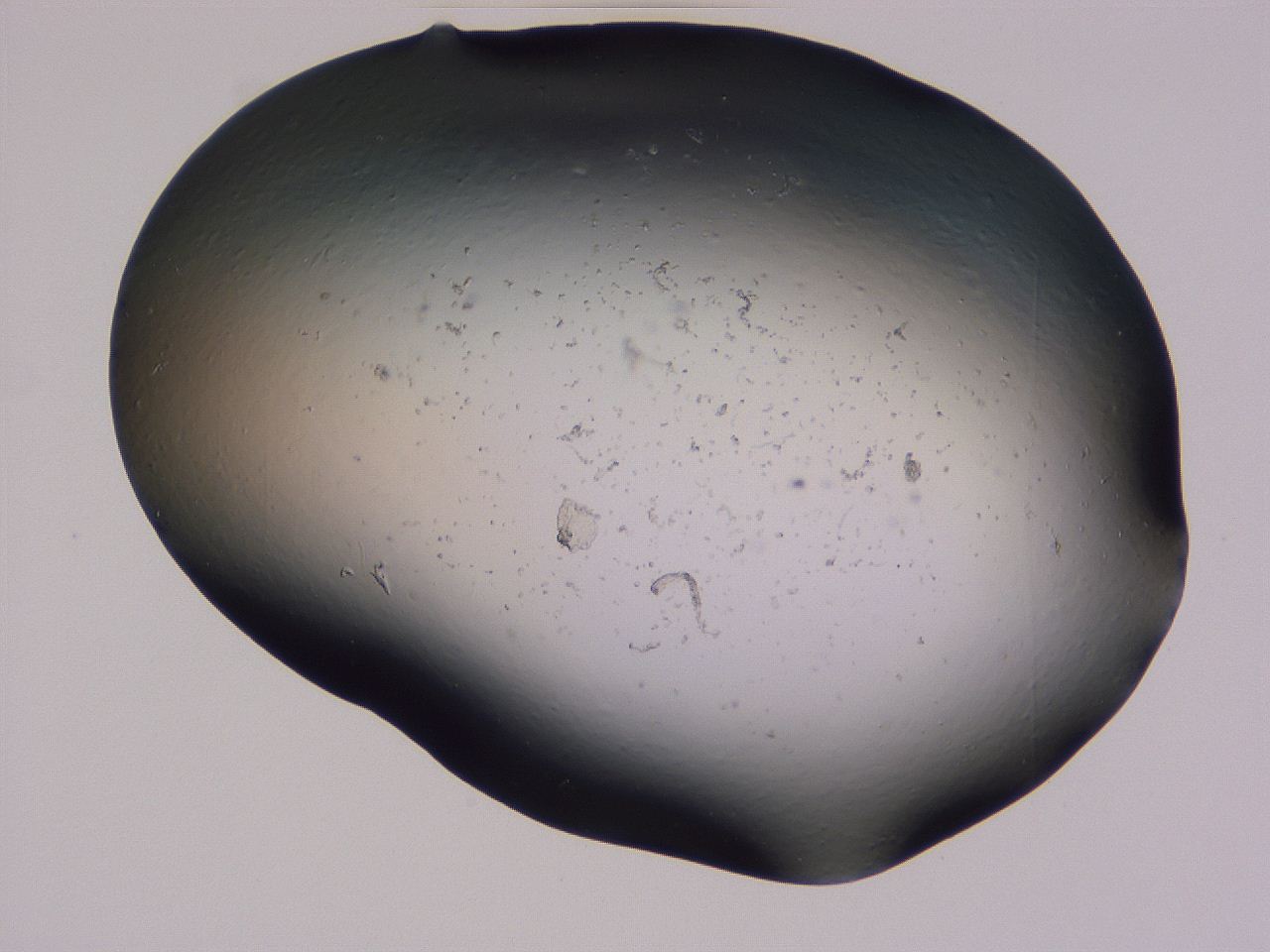 04gh_G4_ImagerDefaults_0.jpg