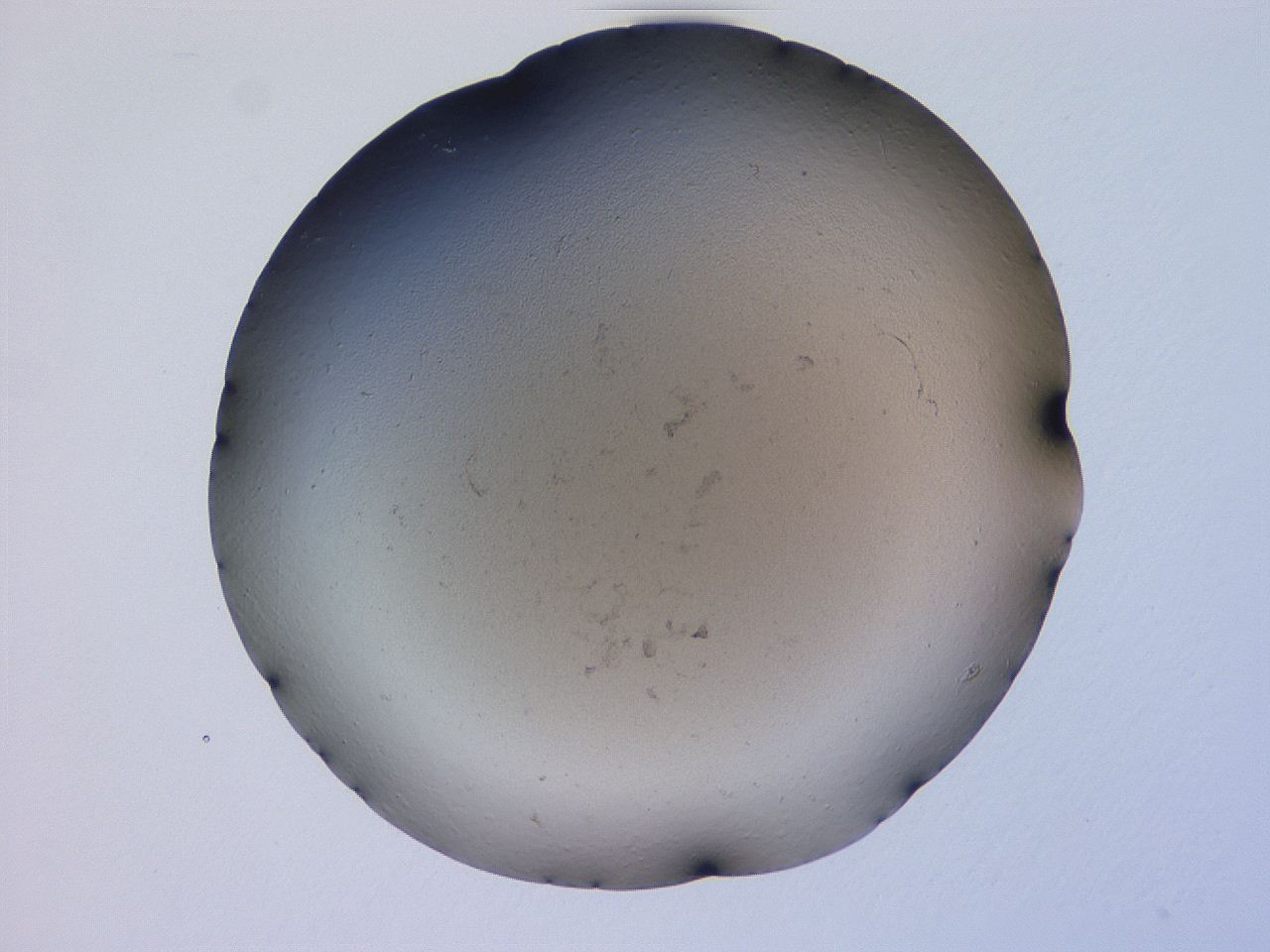 04gh_G5_ImagerDefaults_0.jpg