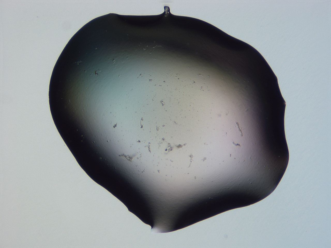 04gh_G6_ImagerDefaults_3.jpg