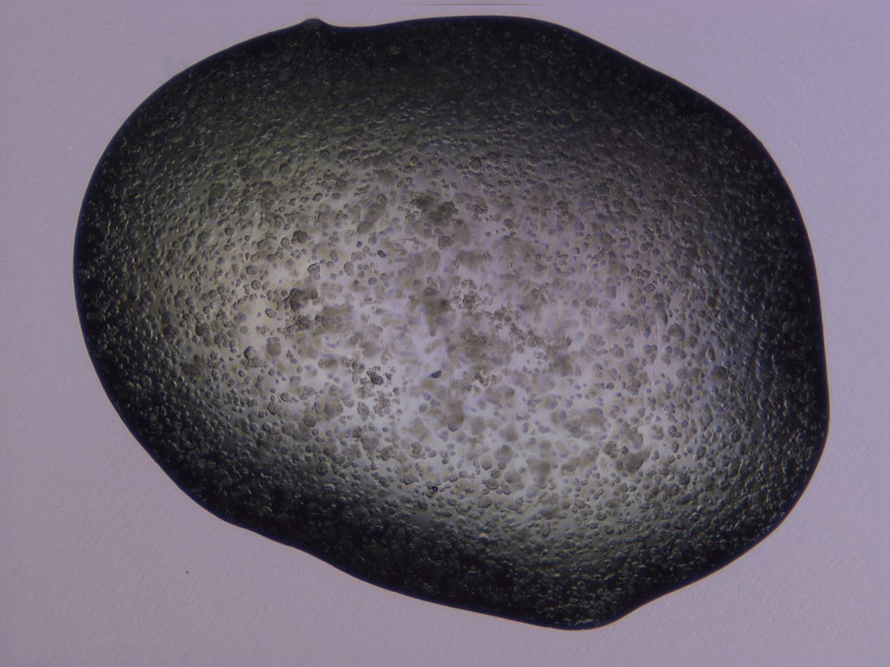 04gh_G7_ImagerDefaults_3.jpg