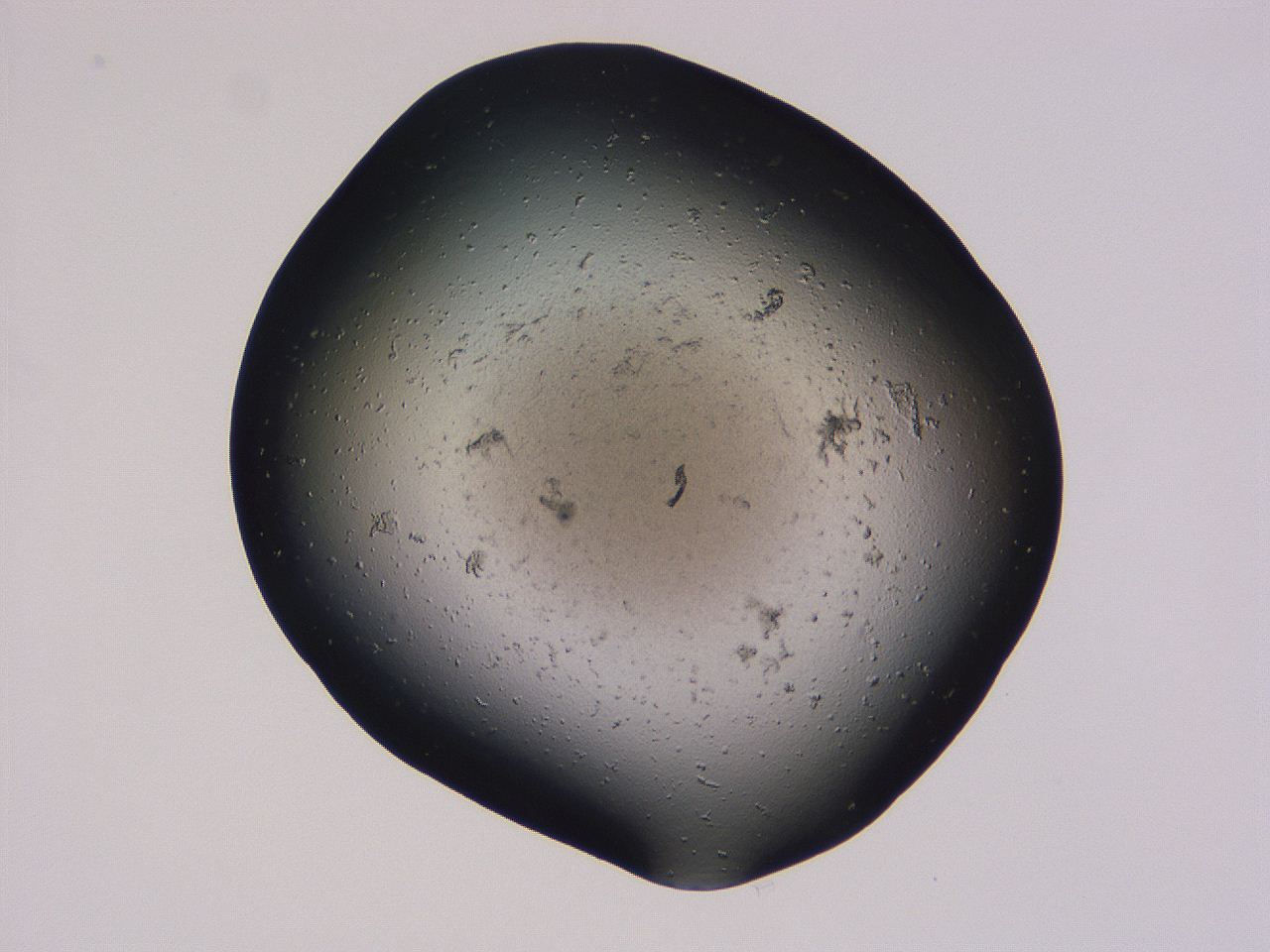 04gh_G8_ImagerDefaults_0.jpg