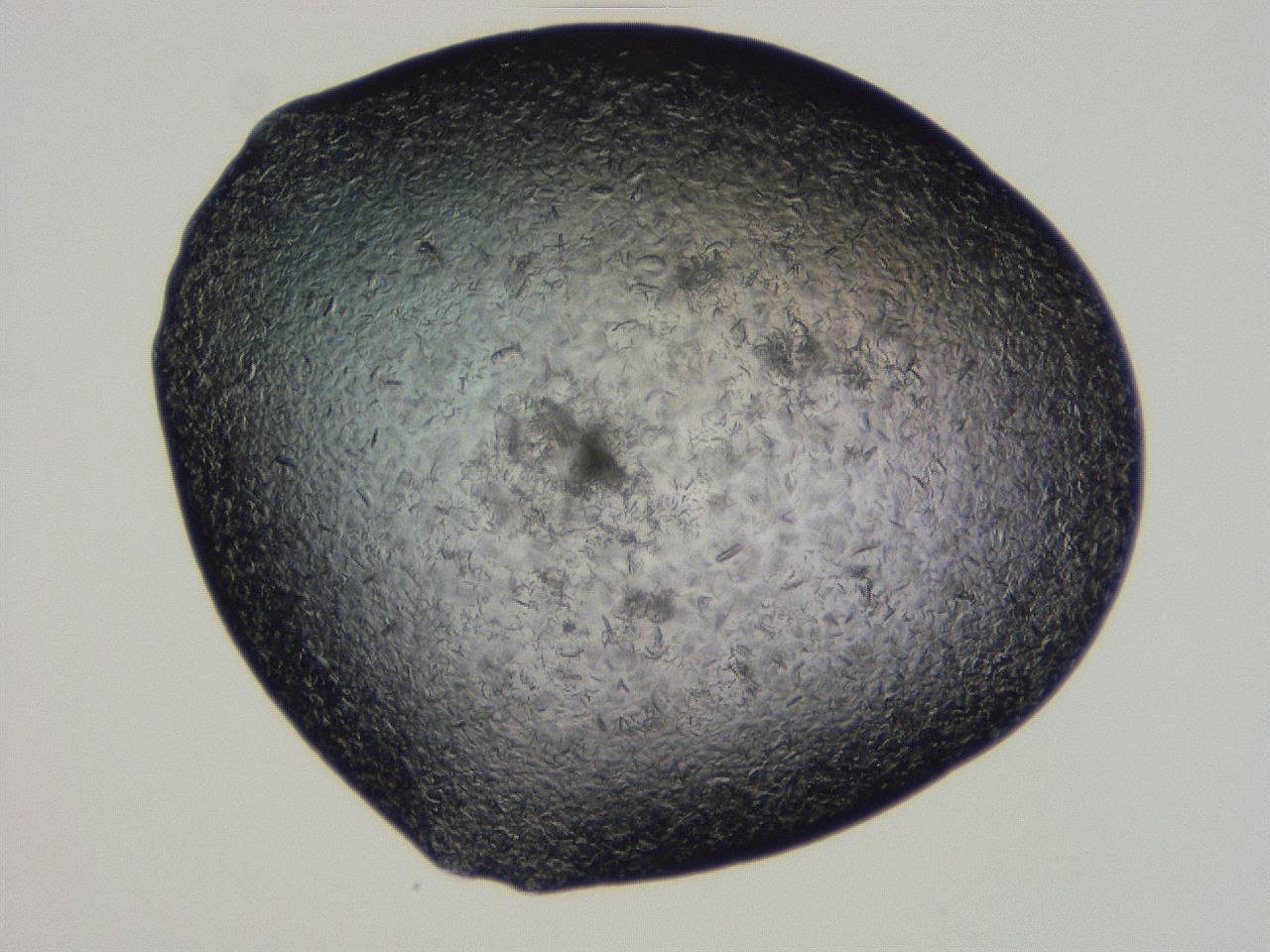 04gh_G10_ImagerDefaults_9.jpg
