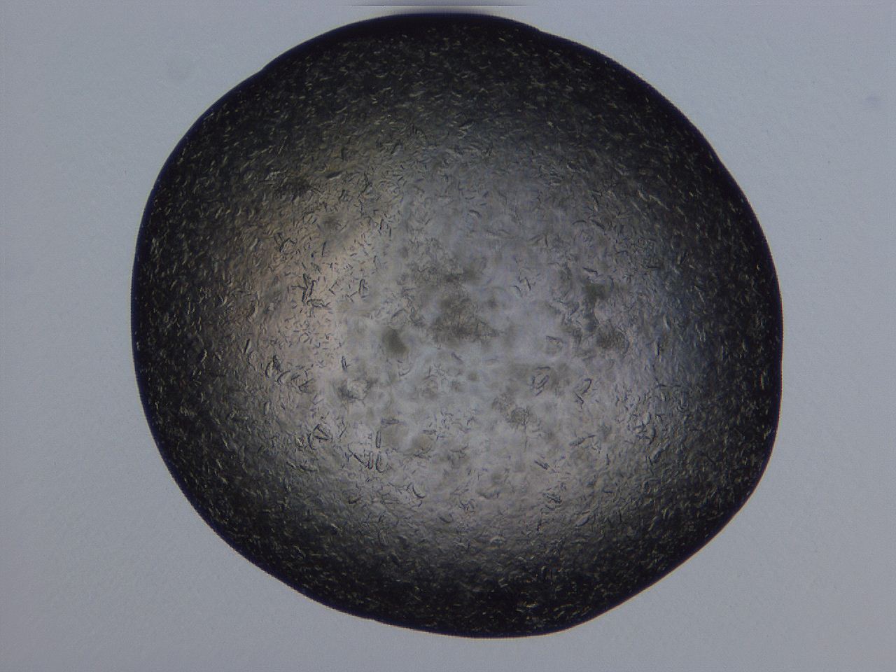 04gh_G11_ImagerDefaults_9.jpg