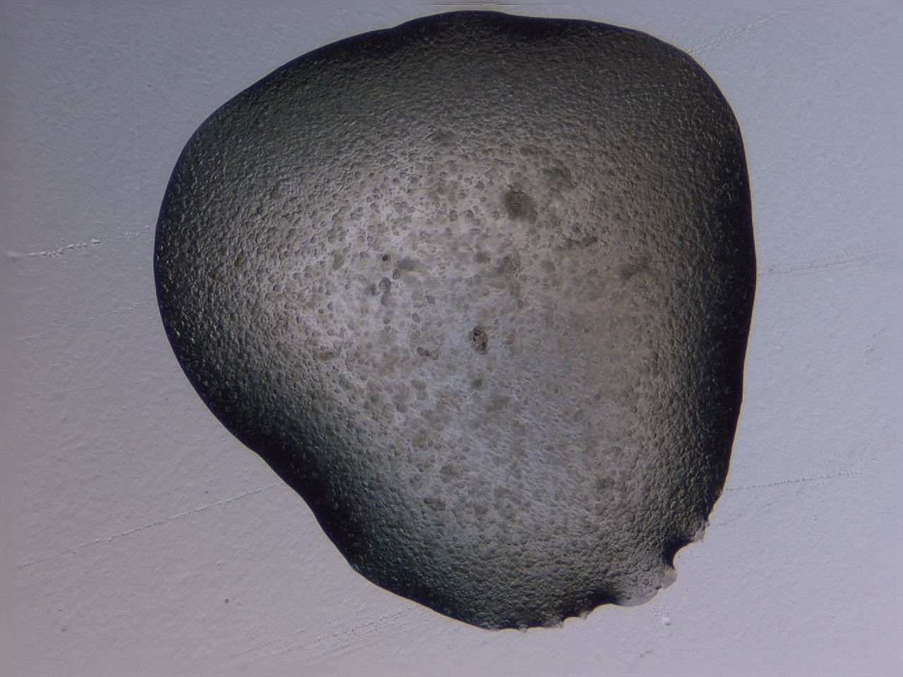 04gh_H1_ImagerDefaults_6.jpg