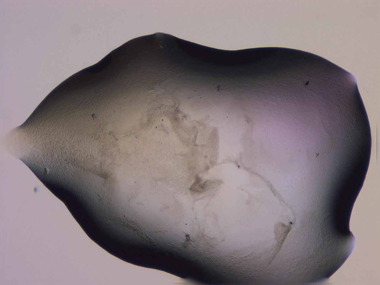 04gh_H6_ImagerDefaults_3.jpg