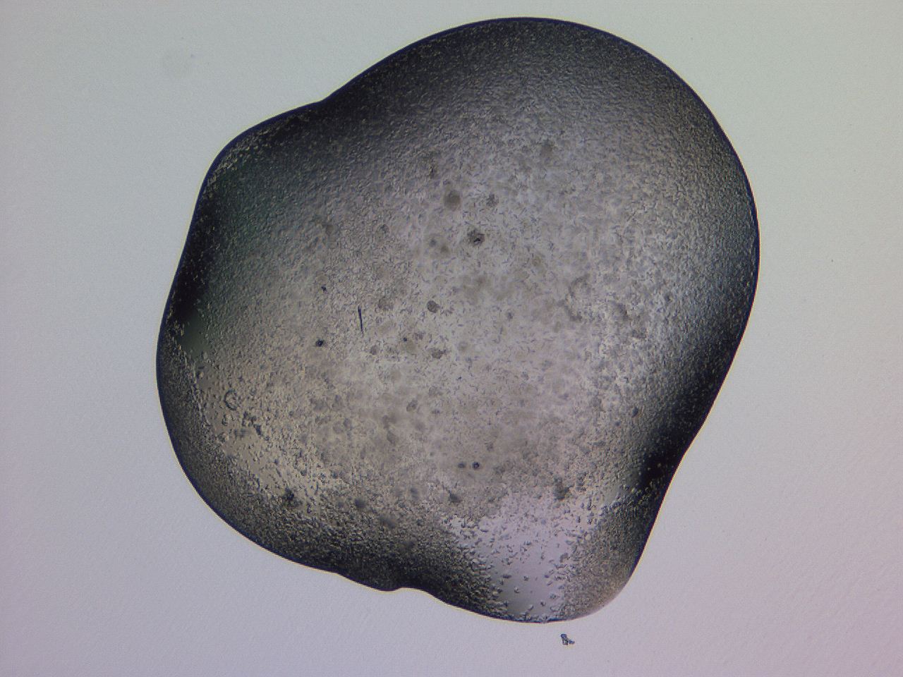 04gh_H7_ImagerDefaults_6.jpg
