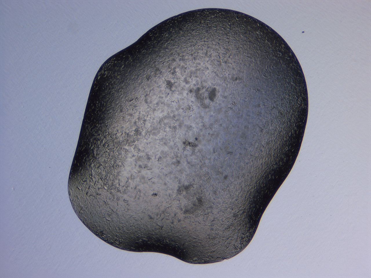 04gh_H9_ImagerDefaults_9.jpg