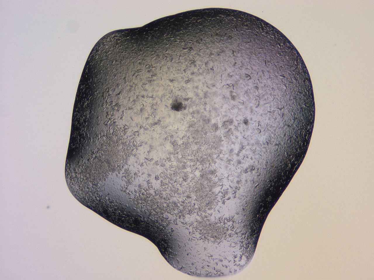 04gh_H10_ImagerDefaults_9.jpg
