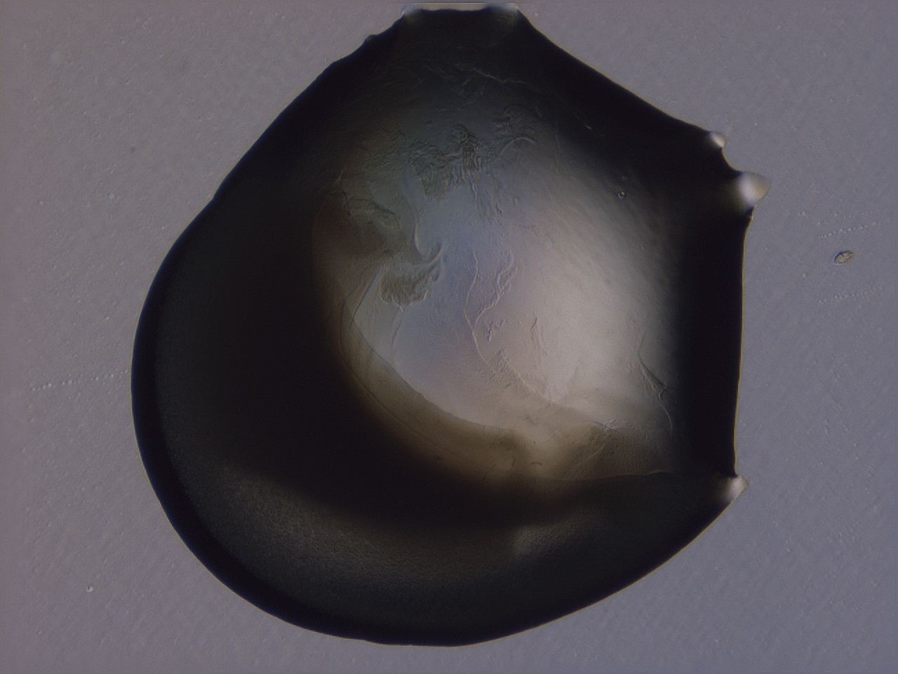 04gi_A2_ImagerDefaults_3.jpg