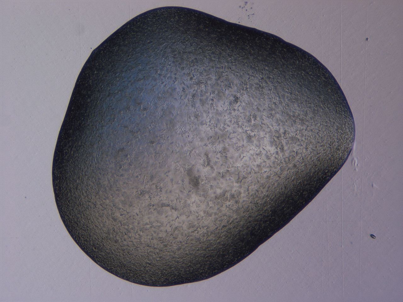 04gi_A4_ImagerDefaults_9.jpg