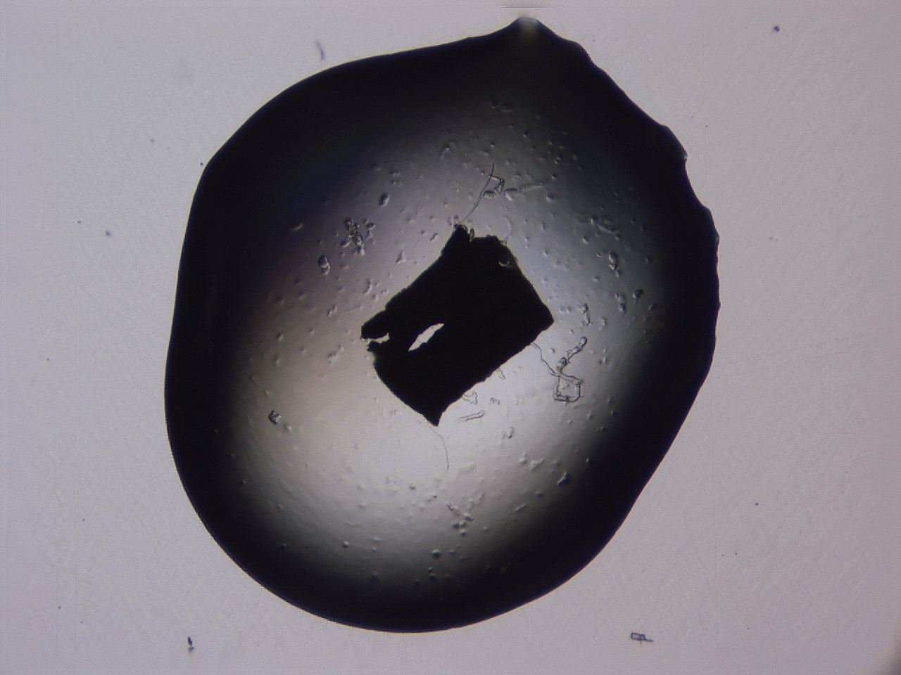04gi_A3_ImagerDefaults_3.jpg