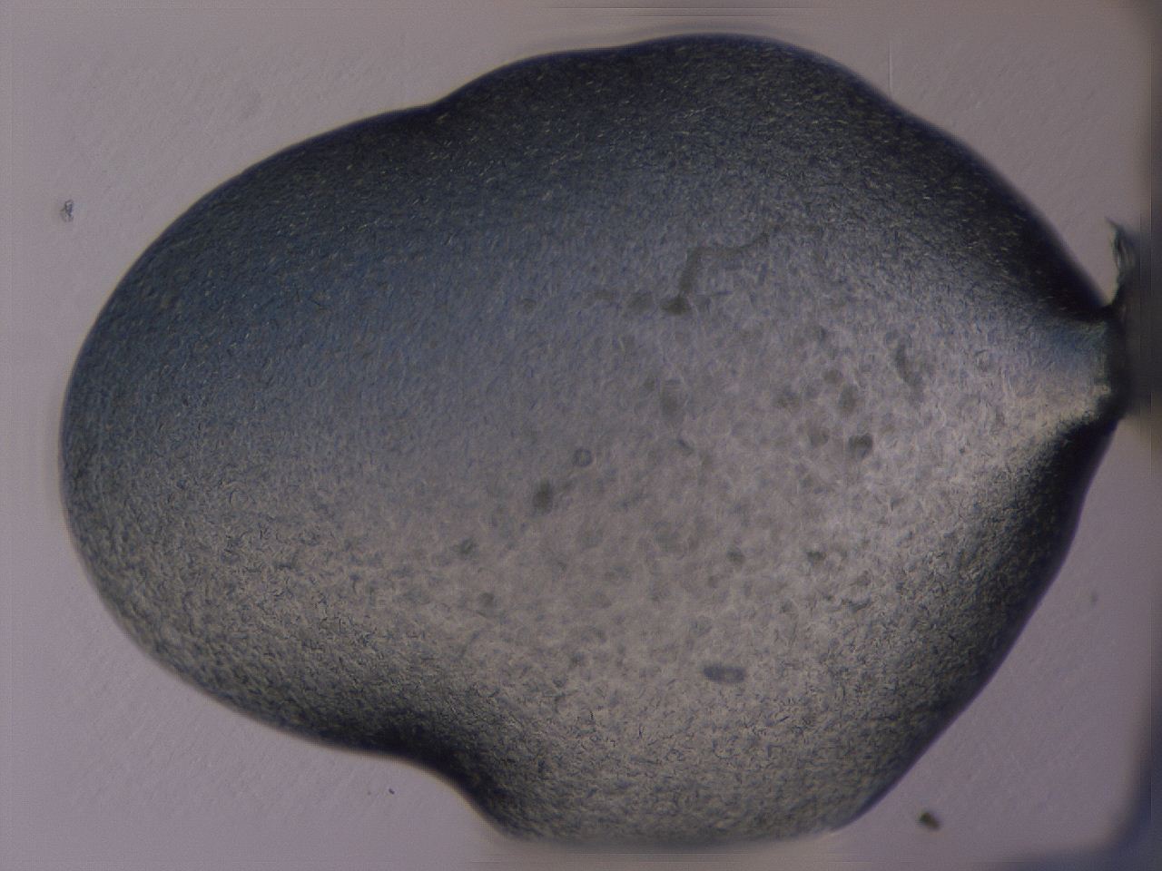 04gi_A1_ImagerDefaults_8.jpg