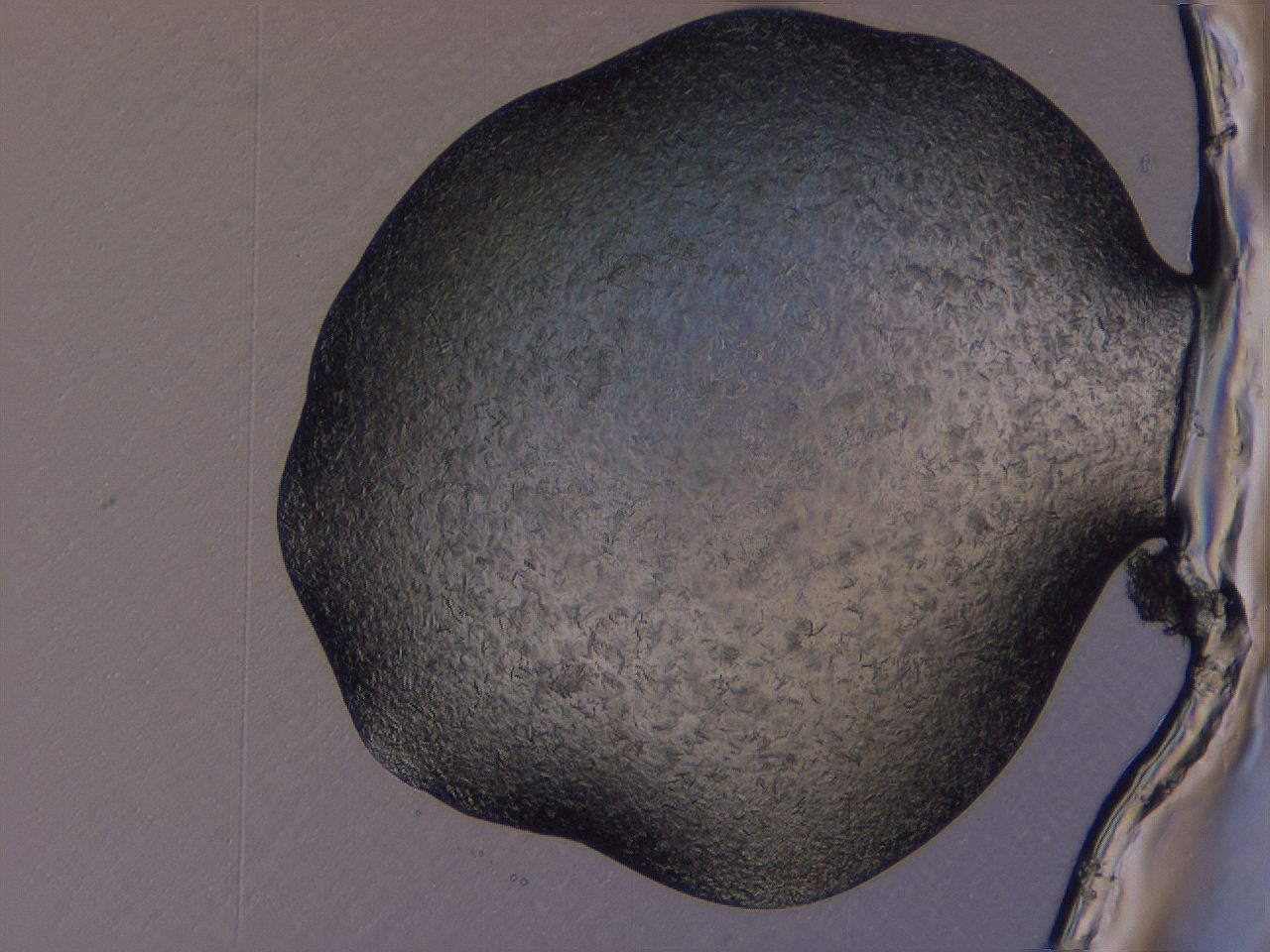 04gi_A5_ImagerDefaults_9.jpg
