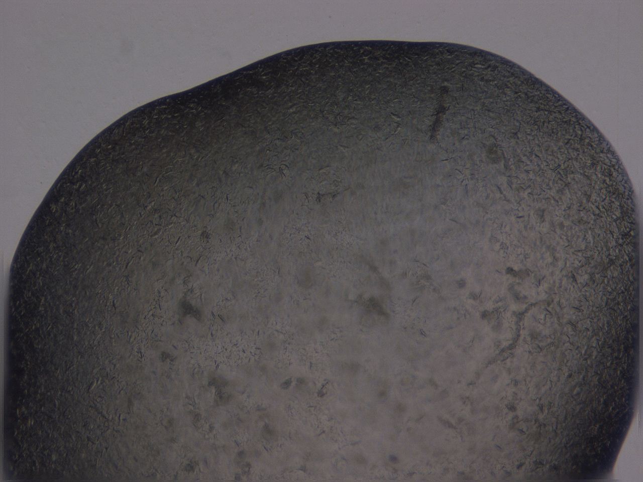 04gi_A6_ImagerDefaults_9.jpg