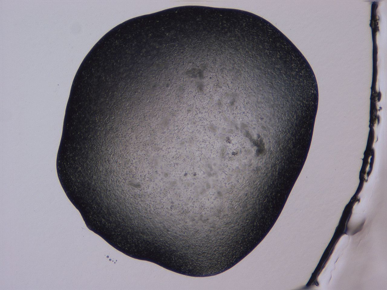 04gi_A7_ImagerDefaults_9.jpg