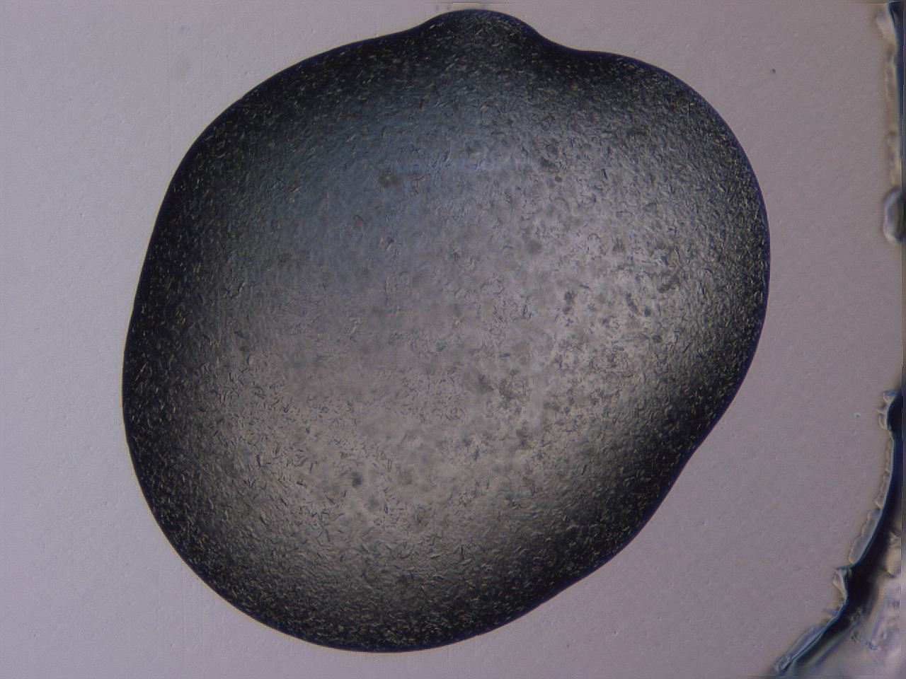 04gi_A9_ImagerDefaults_9.jpg