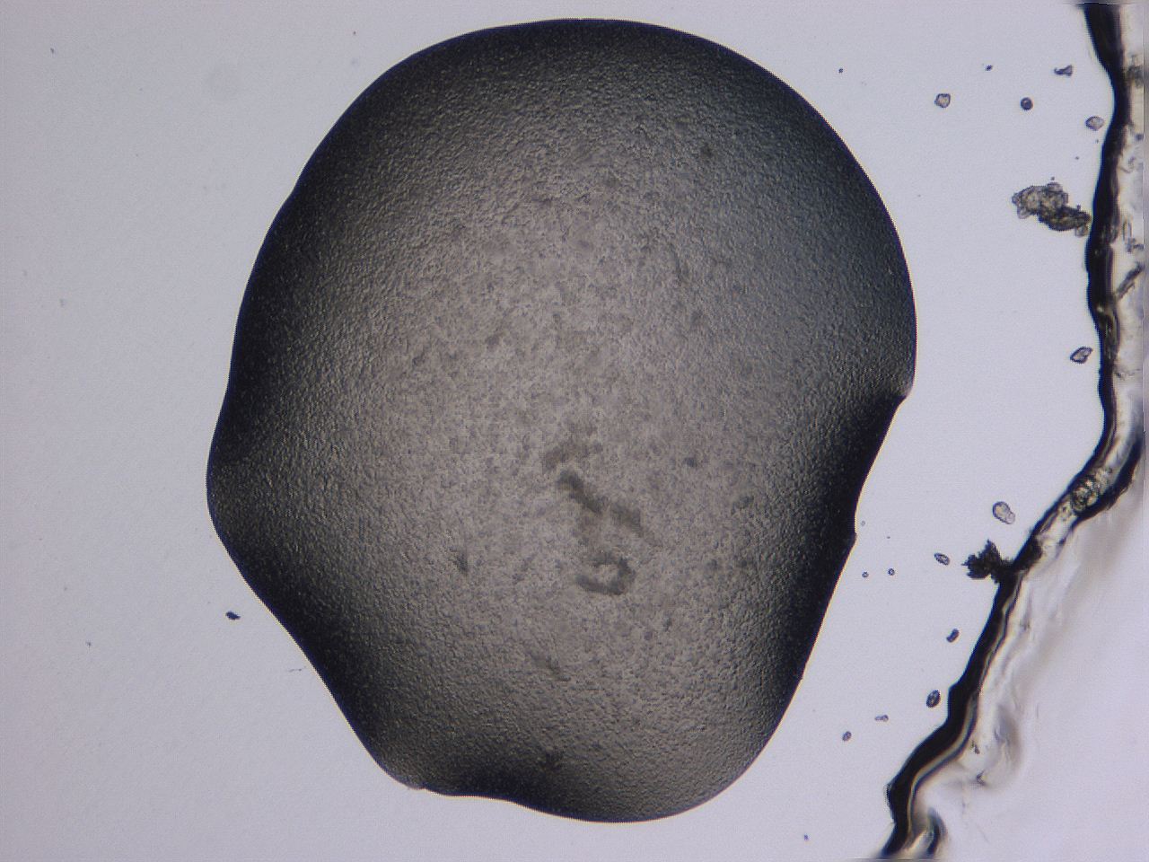 04gi_A11_ImagerDefaults_3.jpg