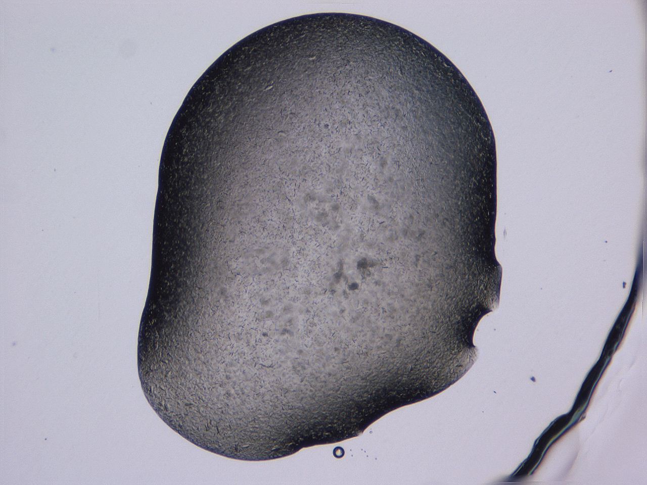 04gi_A12_ImagerDefaults_9.jpg