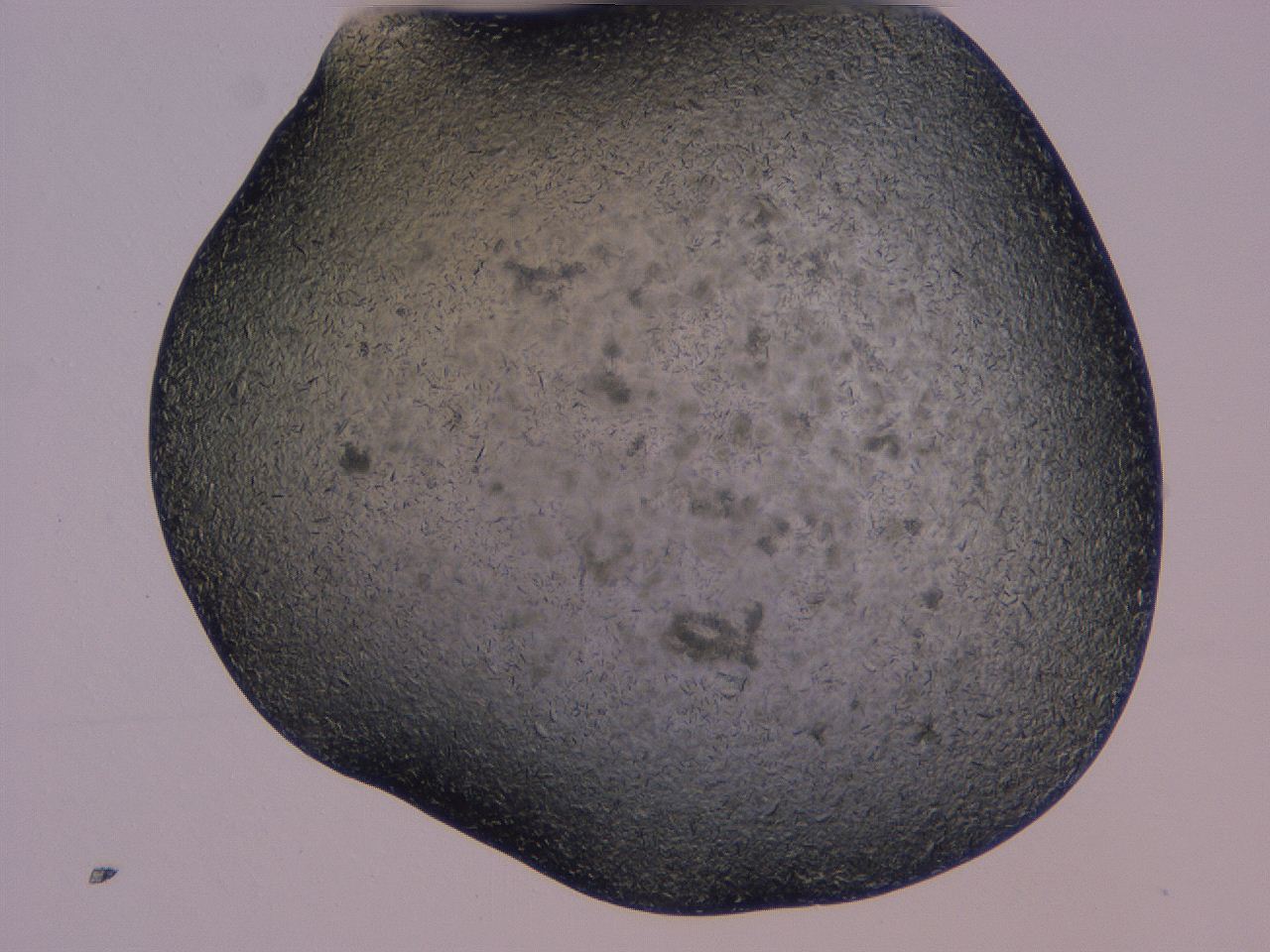 04gi_B1_ImagerDefaults_9.jpg