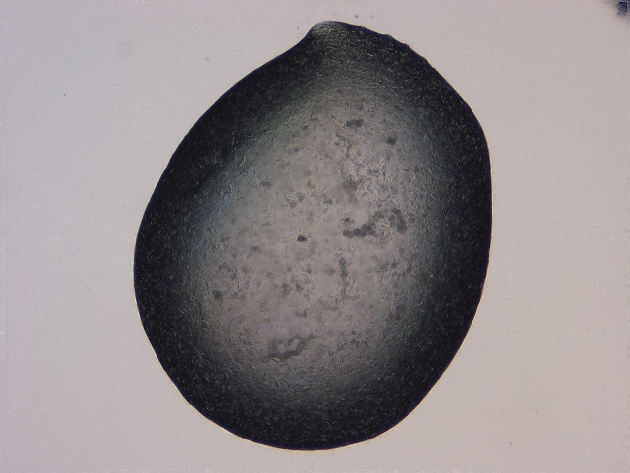04gi_B2_ImagerDefaults_9.jpg