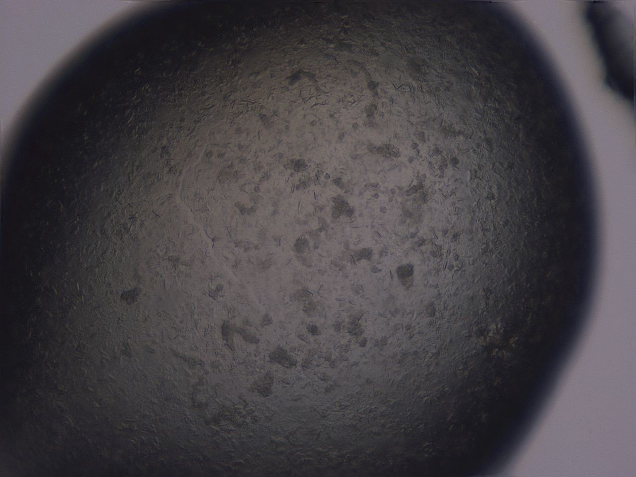 04gi_B5_ImagerDefaults_9.jpg