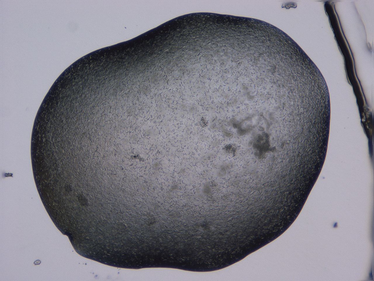 04gi_B11_ImagerDefaults_9.jpg