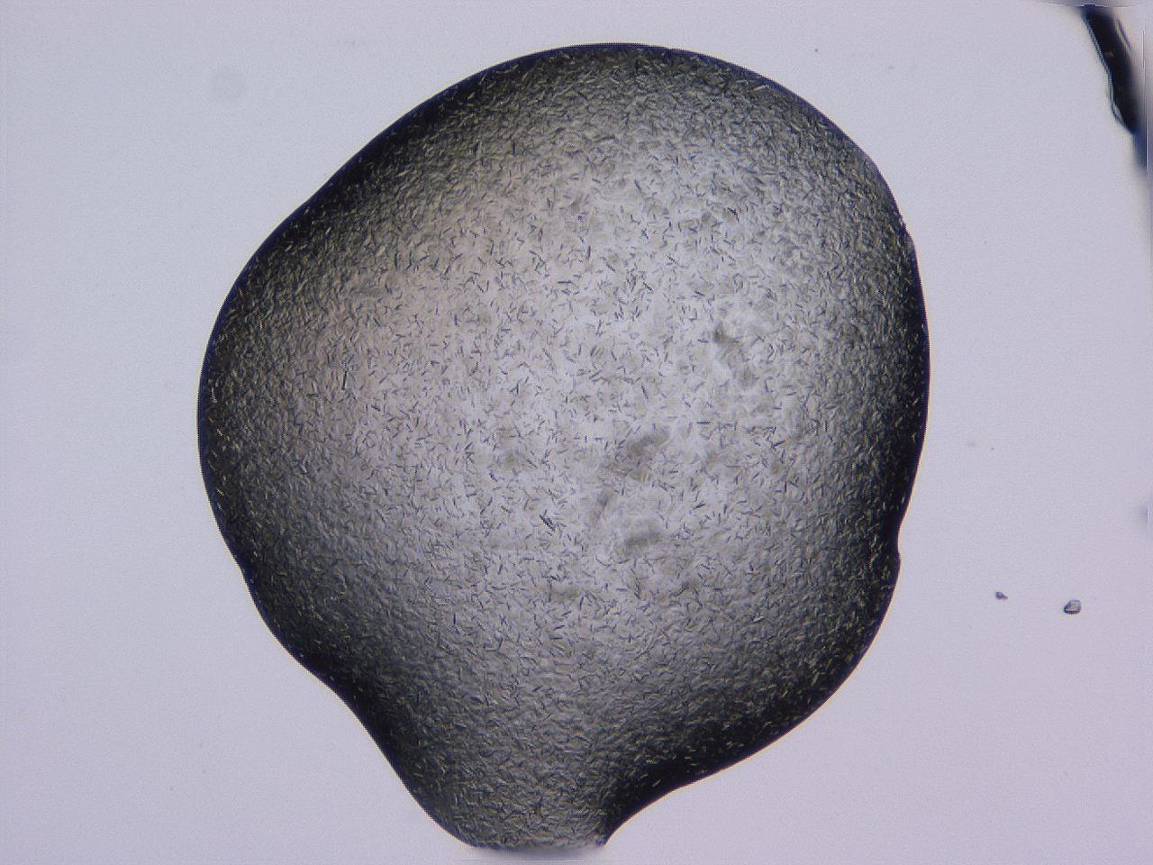 04gi_B12_ImagerDefaults_9.jpg