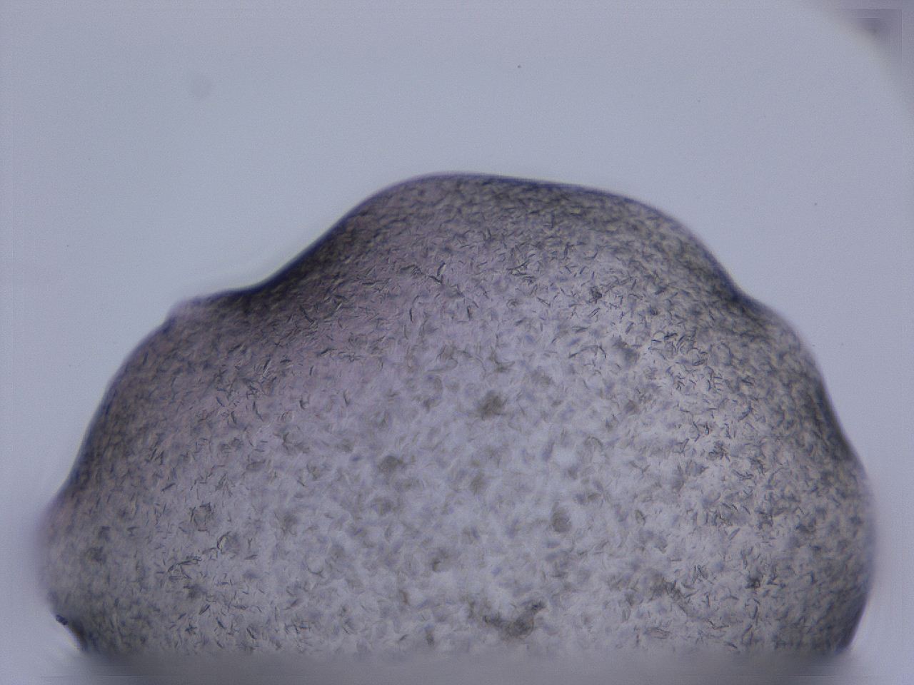 04gi_C1_ImagerDefaults_9.jpg