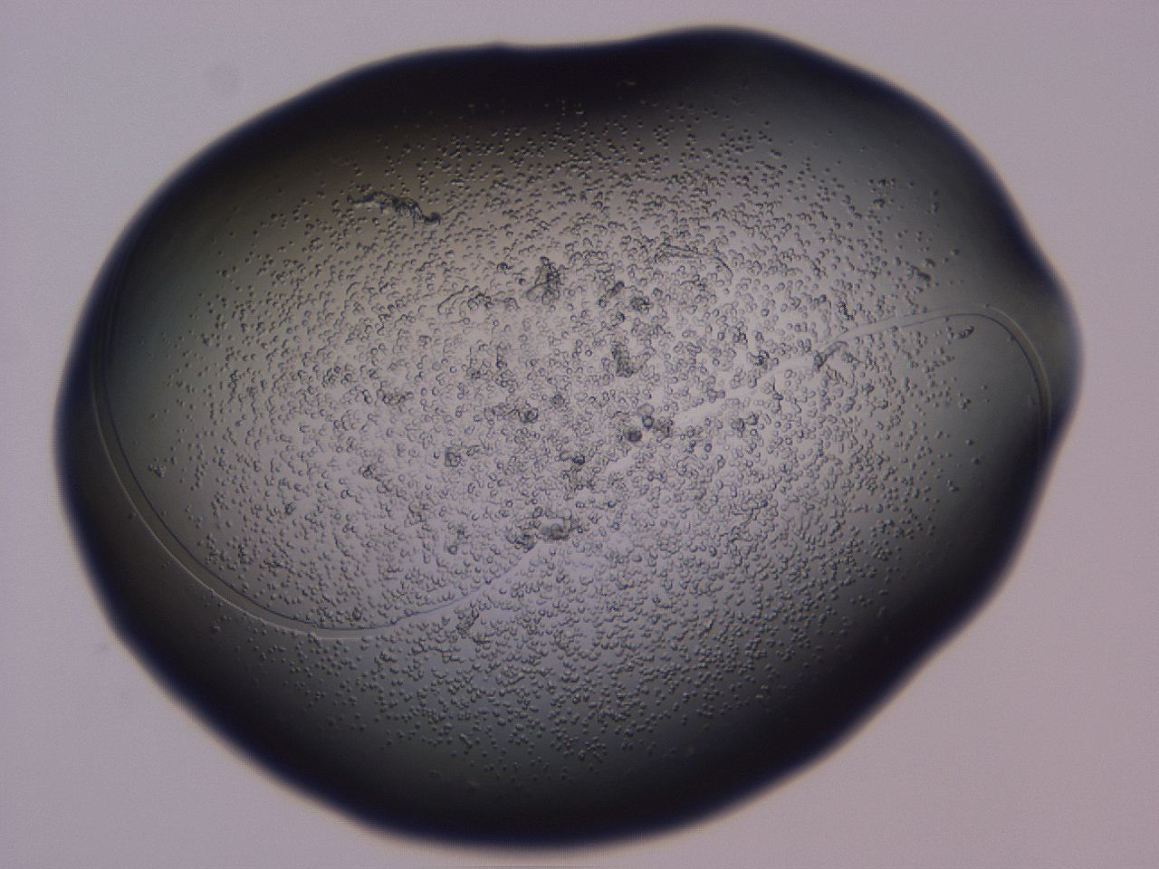 04gi_C2_ImagerDefaults_3.jpg