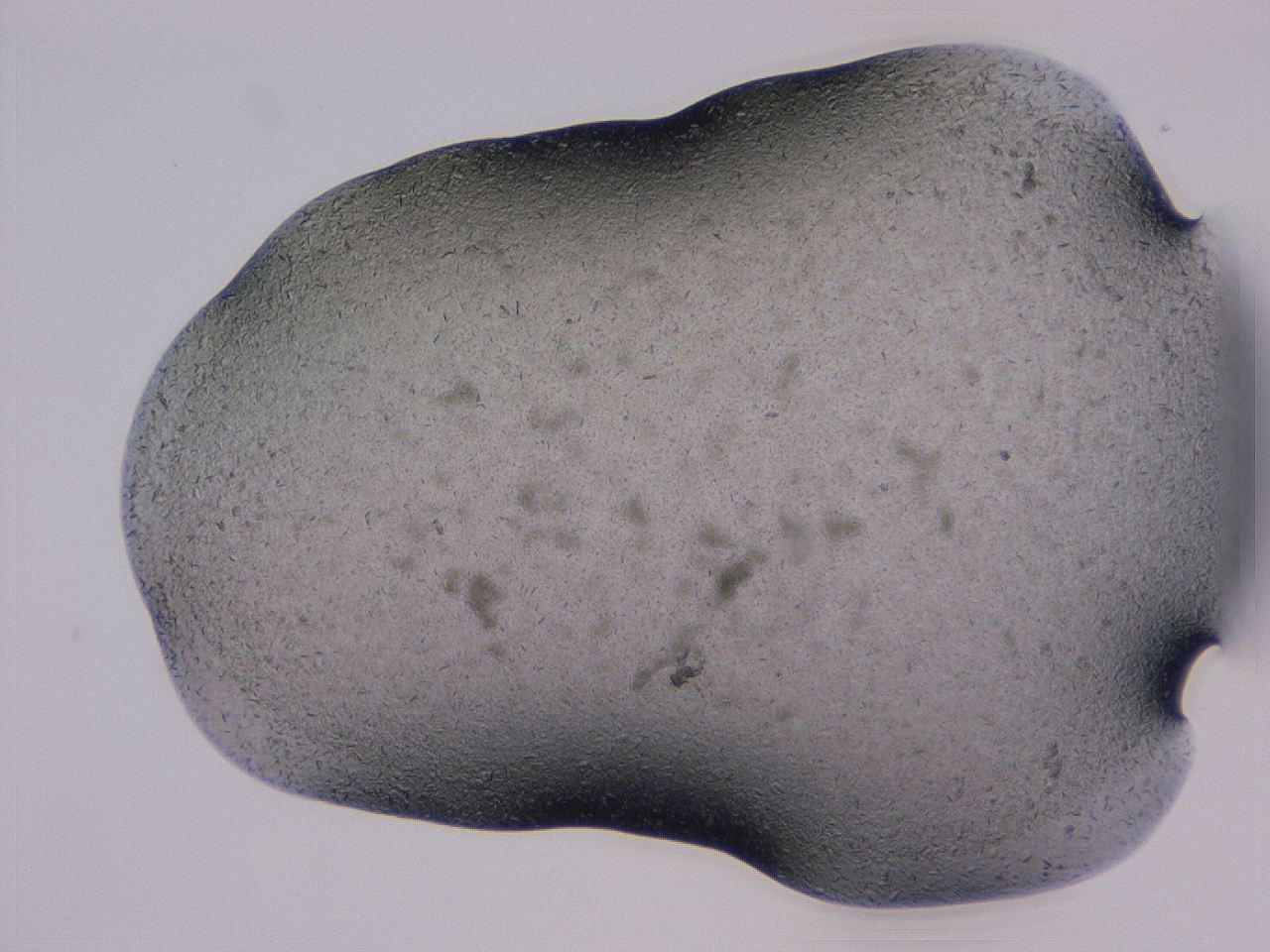 04gi_C3_ImagerDefaults_9.jpg