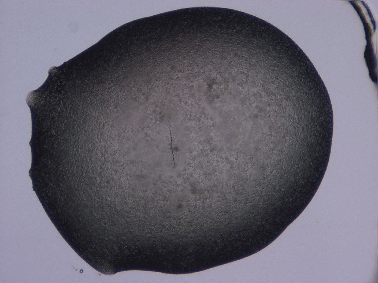 04gi_C5_ImagerDefaults_6.jpg
