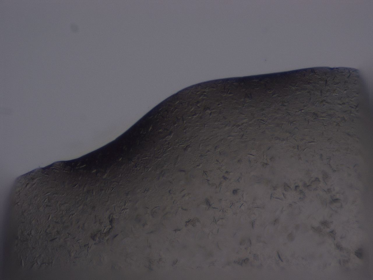 04gi_C8_ImagerDefaults_9.jpg