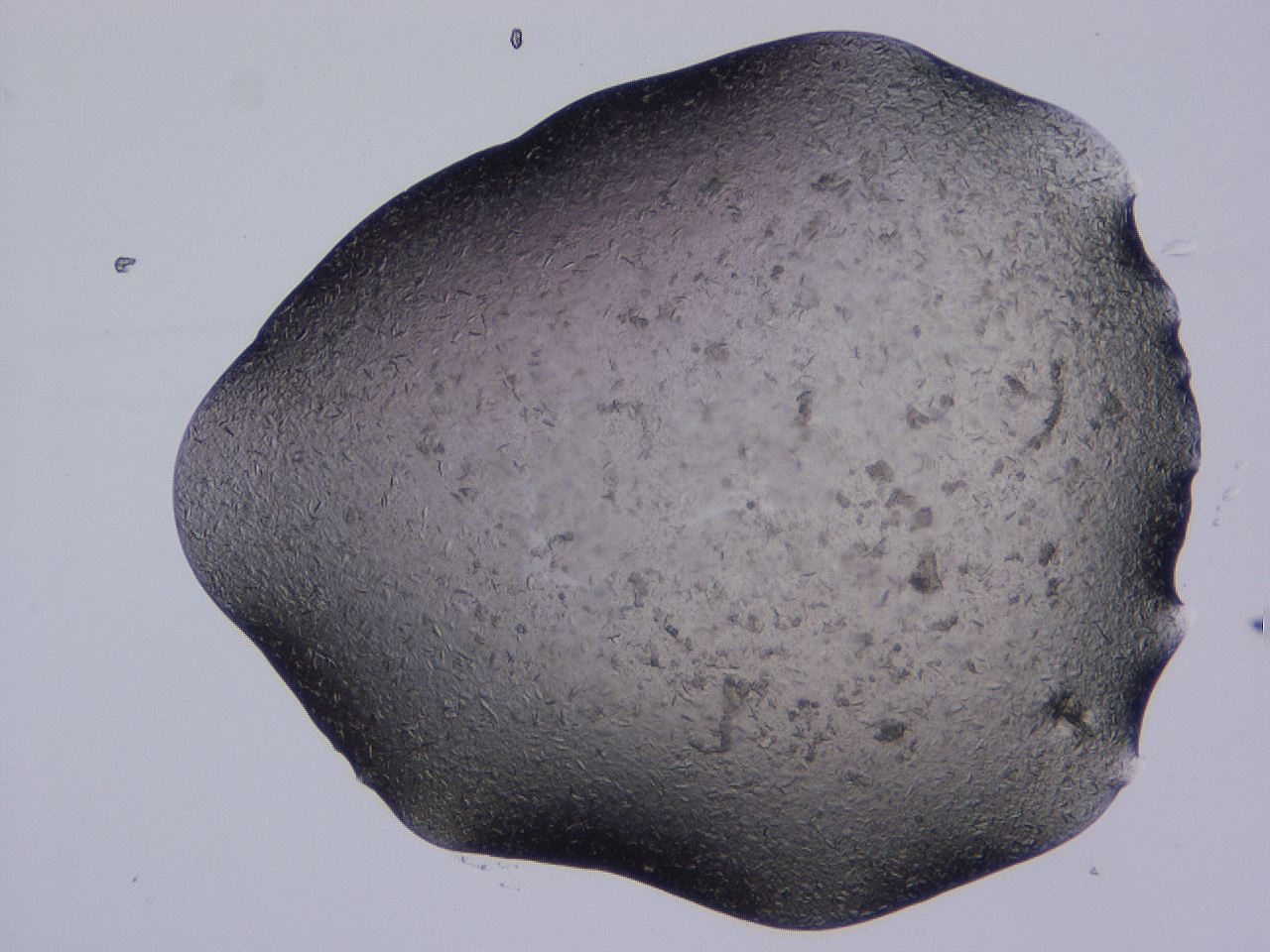 04gi_C9_ImagerDefaults_9.jpg