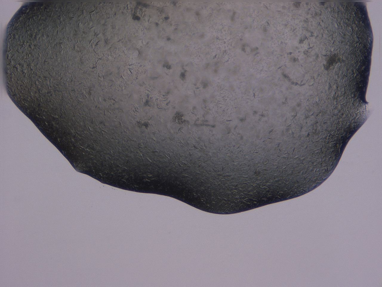 04gi_C10_ImagerDefaults_9.jpg