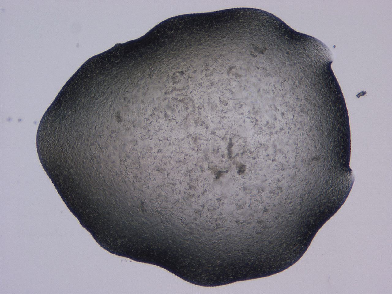 04gi_C11_ImagerDefaults_9.jpg