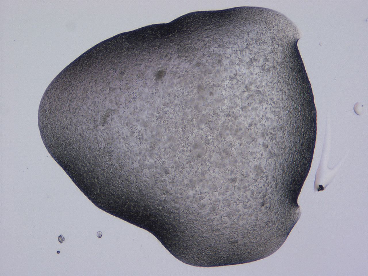 04gi_C12_ImagerDefaults_9.jpg