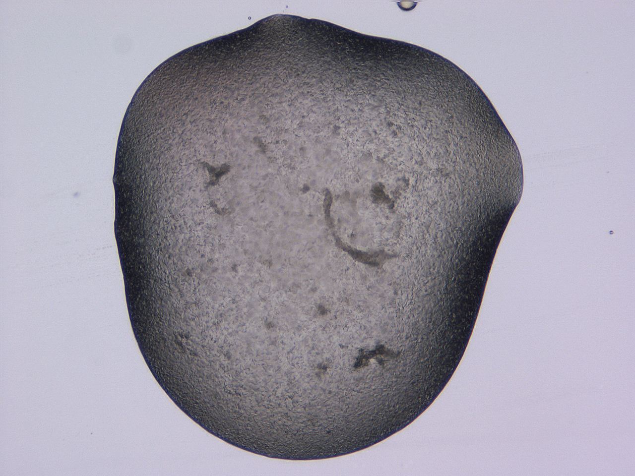 04gi_D3_ImagerDefaults_9.jpg