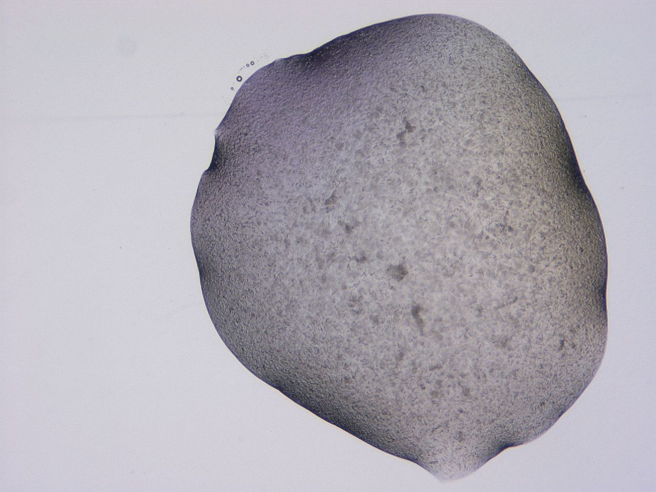 04gi_D8_ImagerDefaults_3.jpg