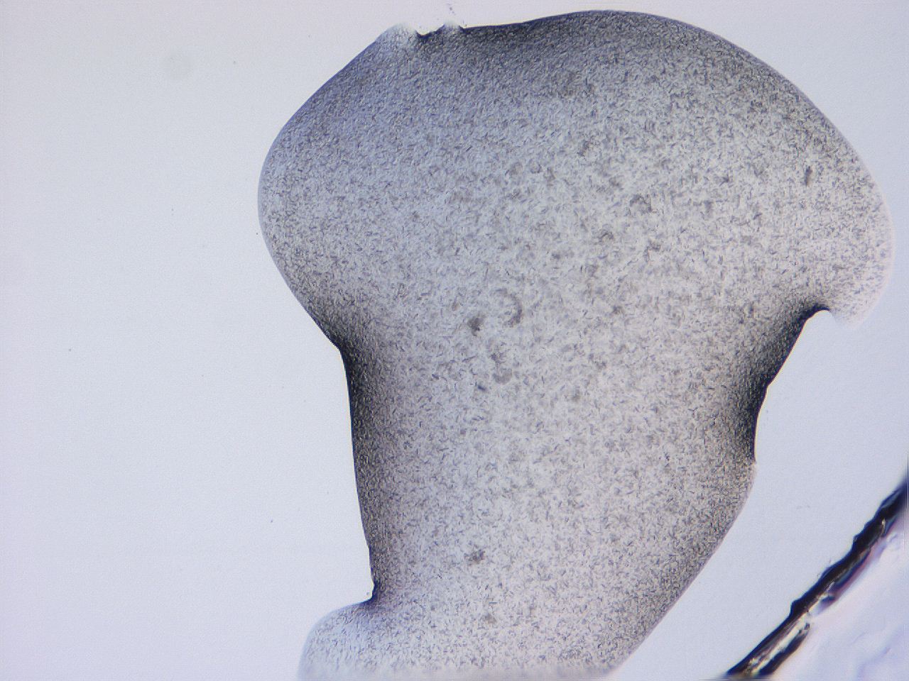 04gi_D9_ImagerDefaults_9.jpg