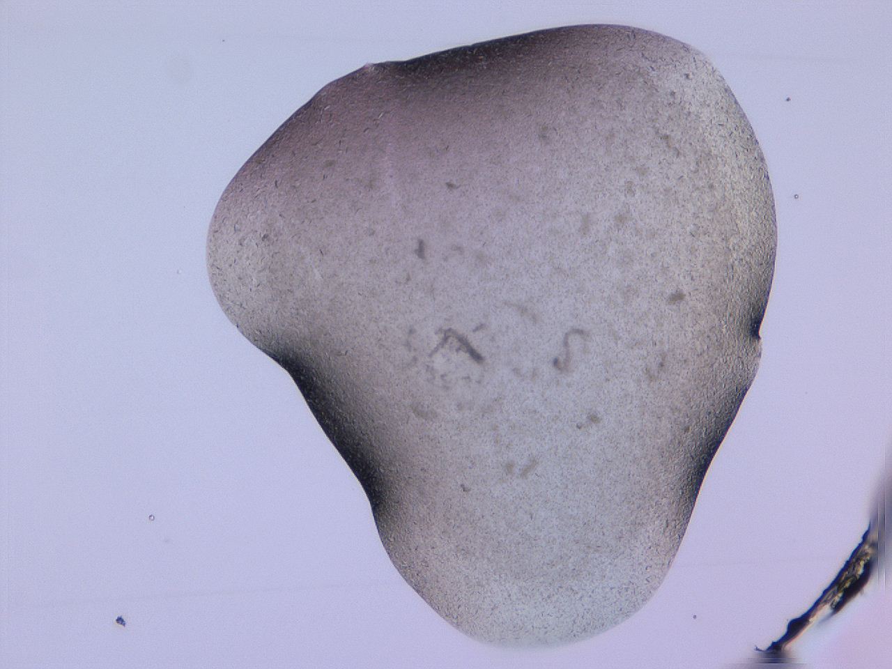 04gi_D10_ImagerDefaults_9.jpg